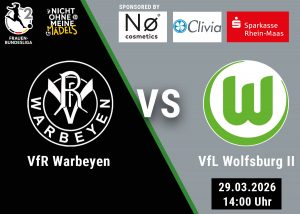 vfl wolfsburg