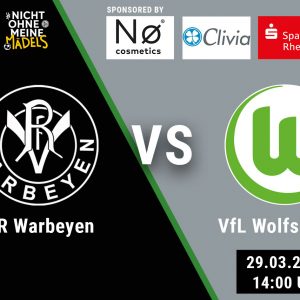 vfl wolfsburg